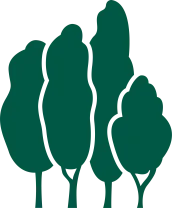 Fast Growing Trees Nursery Fast Growing Trees Nursery promo code Fast Growing Trees Nursery coupon code Fast Growing Trees Nursery discount code